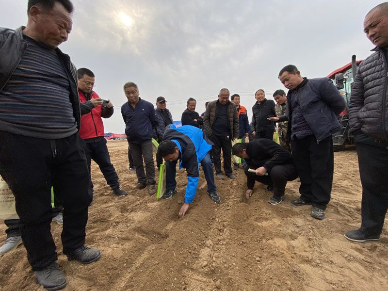 山東奧龍參加陽谷縣高性能播種機(jī)演示現(xiàn)場會